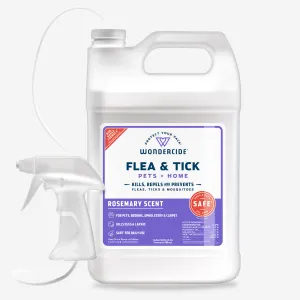 128 oz. Rosemary Flea & Tick Spray for Pets   Home with Natural Essential Oils