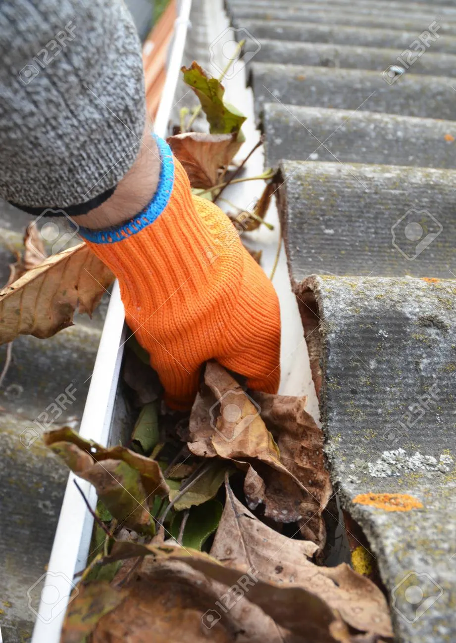 3 Three gutter cleanings offer BOGO ! Gutter Cleaning  offer expires December 31 , 2024 Check out the Video by Colm below!