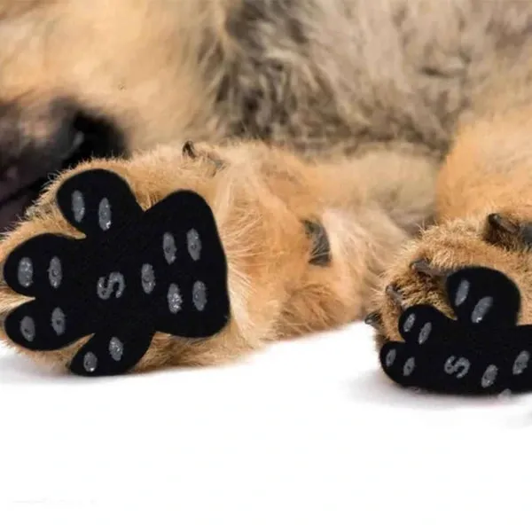 Anti-Slip Pads for Dog Paws