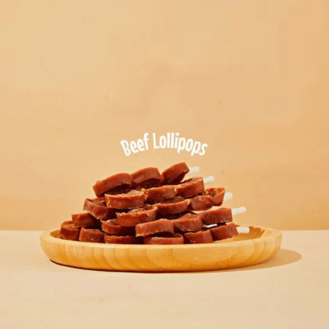 Arya Sit Dental Chew Beef Lollipops Dog Treat