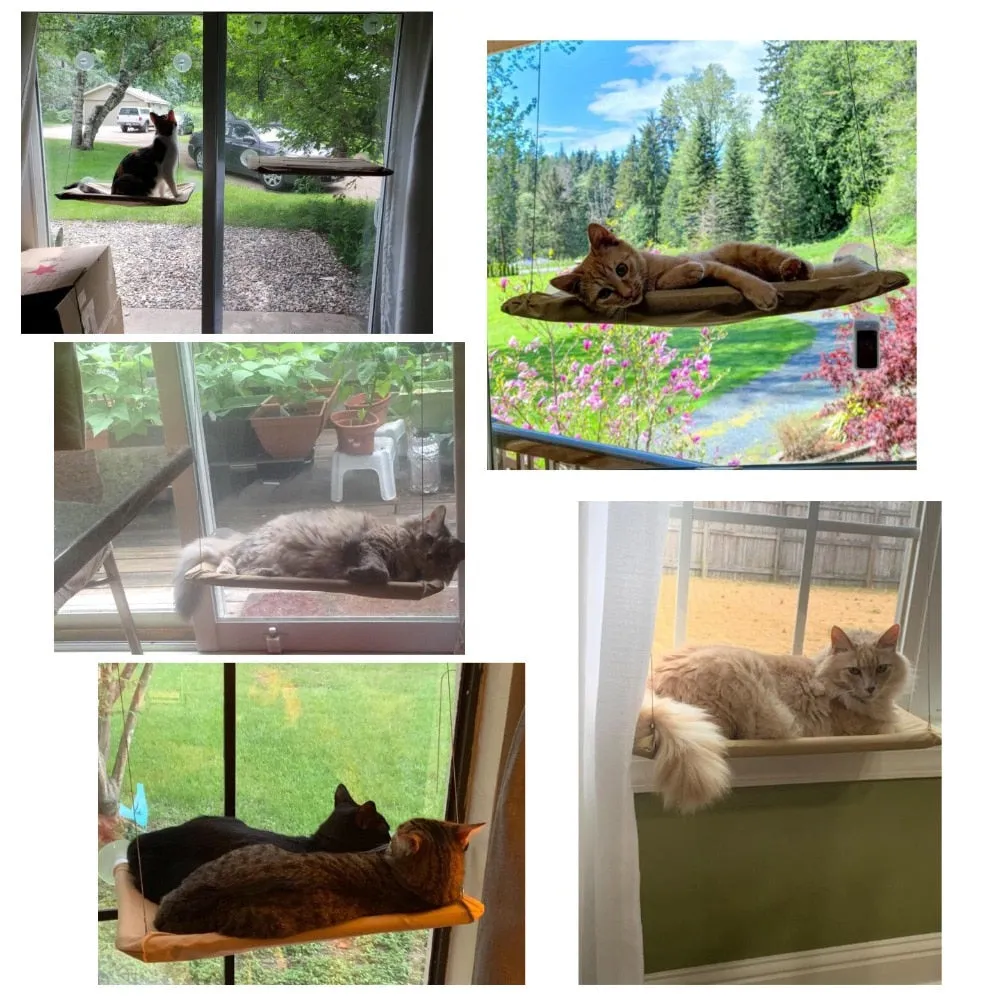 Cat Hammock Pet Hanging Beds Window Hammock