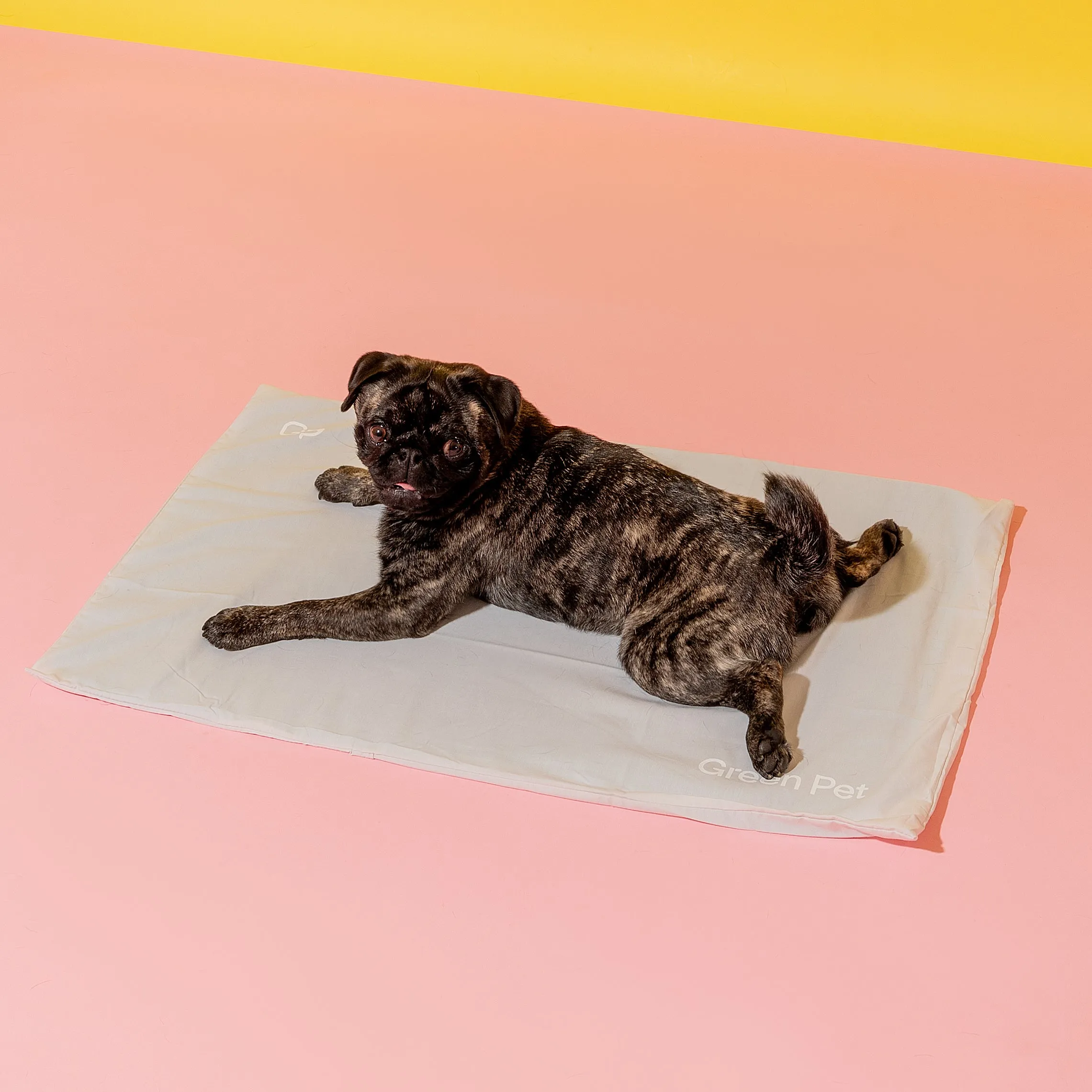 Cool Pet Pad Cover