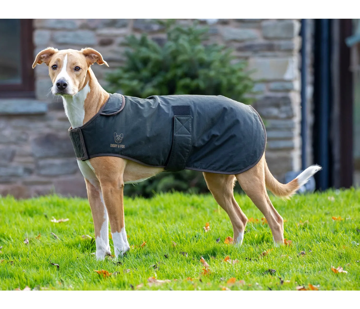 Digby & Fox Wax Dog Coat
