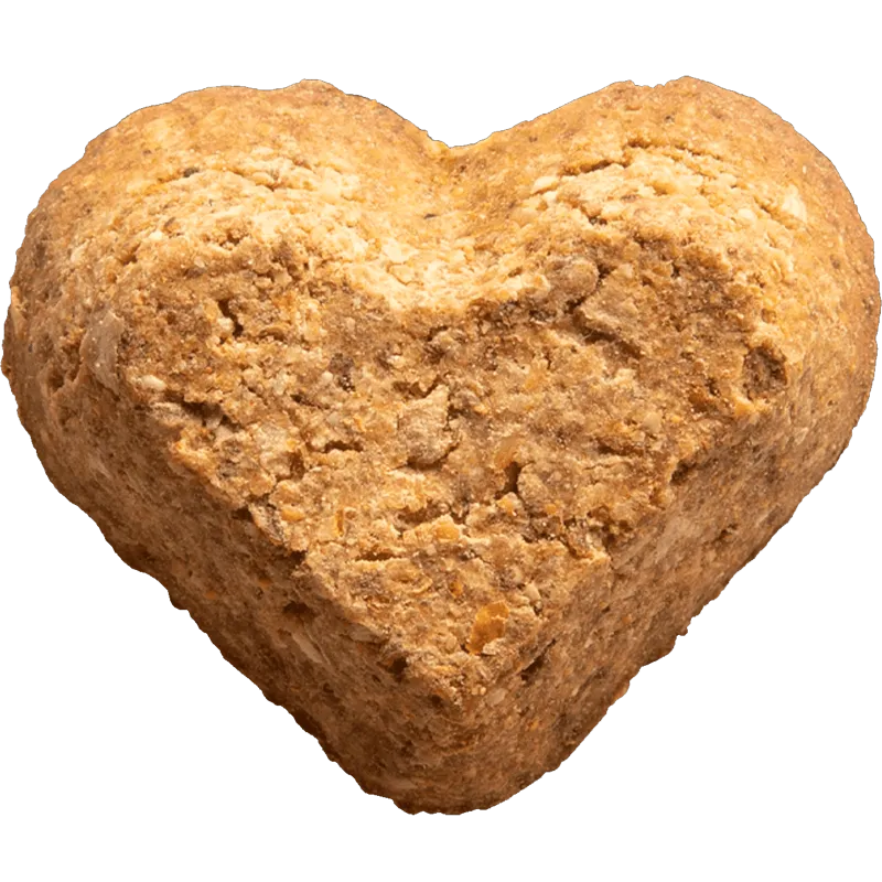 Doghouse Rock Baked Dog Biscuits