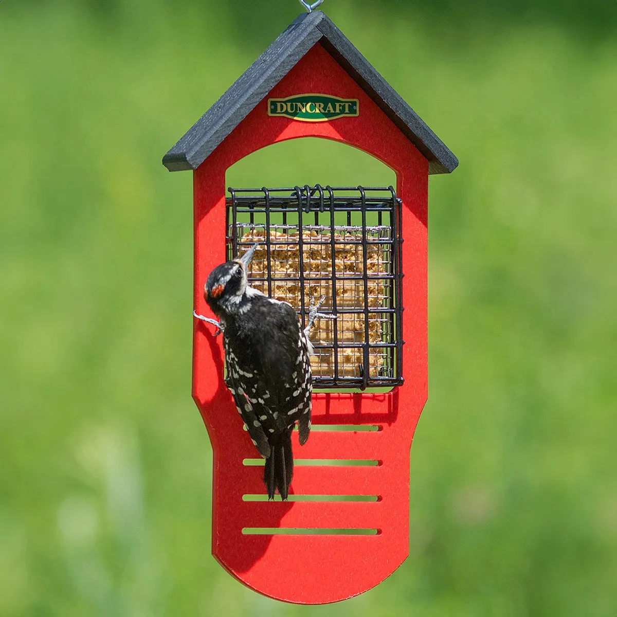 Double Sided Tail Prop Suet Feeder