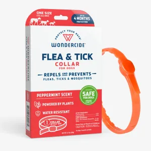 Flea & Tick Collar for Dogs   Cats with Natural Essential Oils