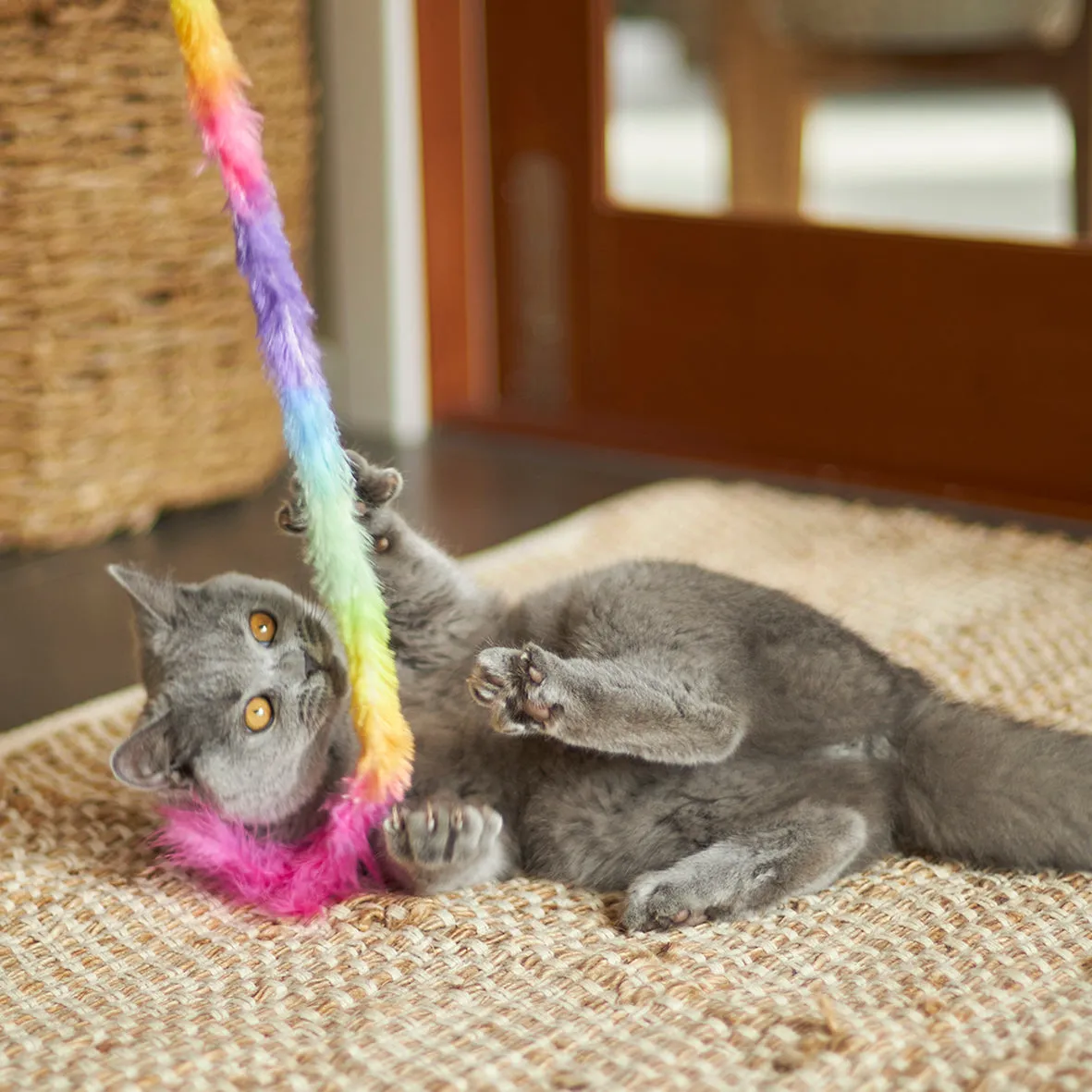 Fluffy Rainbow Tail
