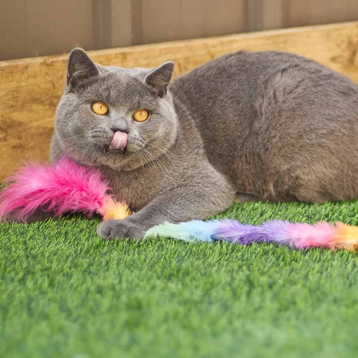 Fluffy Rainbow Tail