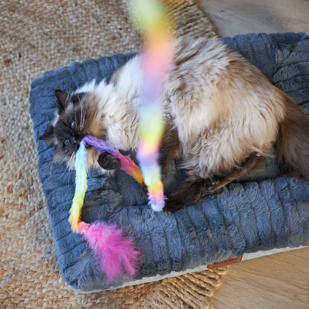 Fluffy Rainbow Tail