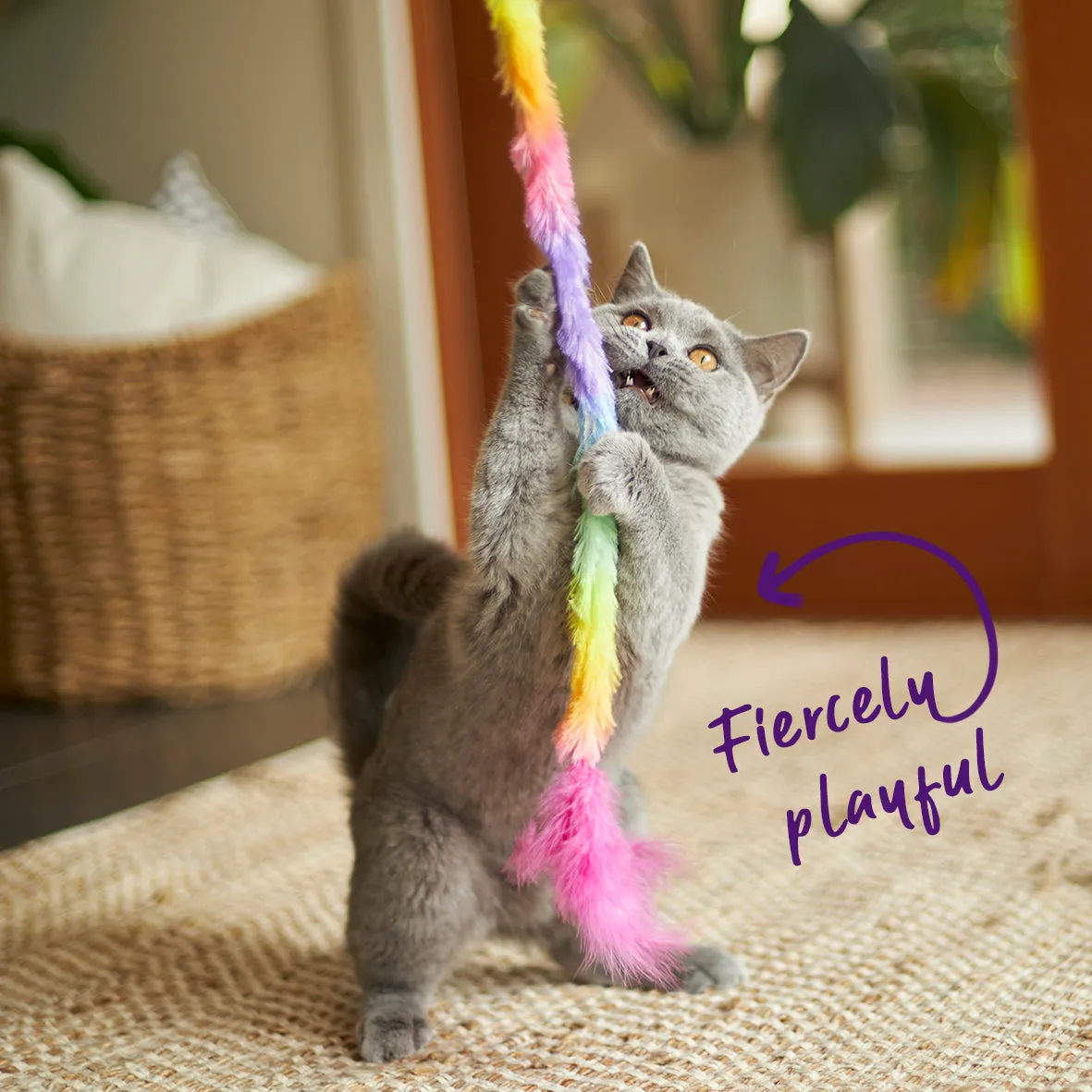 Fluffy Rainbow Tail