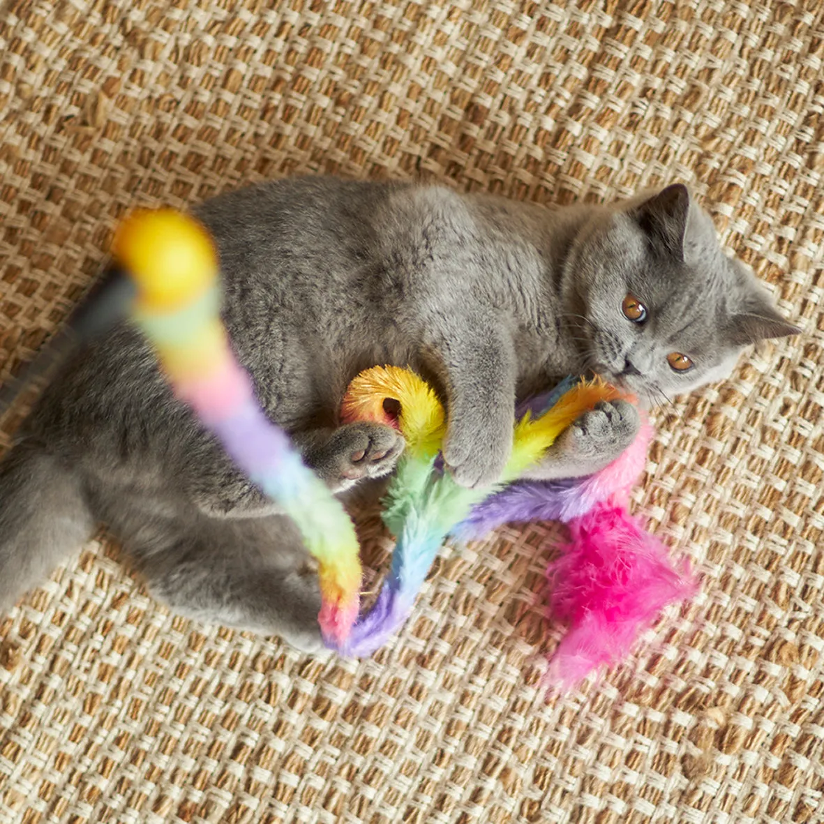 Fluffy Rainbow Tail