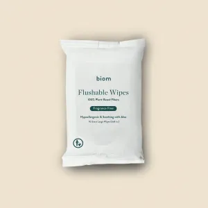 Flushable Travel Pack Wipes (Casepack - 40 Units)