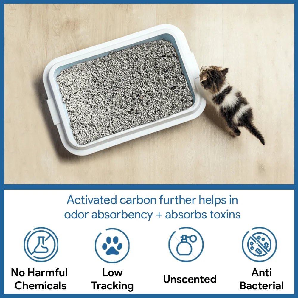 Goofy Tails Premium Activated Charcoal White Bentonite Clumping Cat Litter