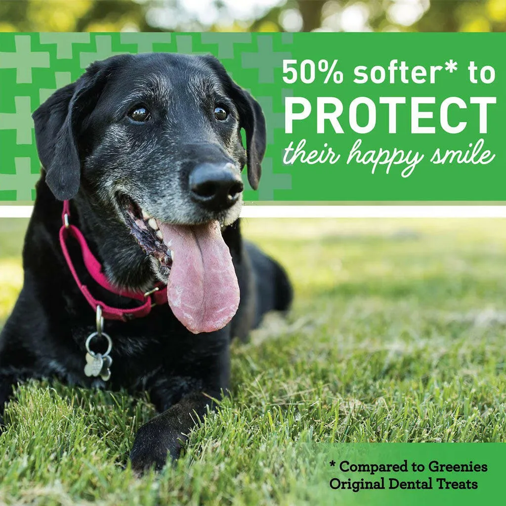 Greenies Aging Care Petite Dental Dog Treats, 45 count