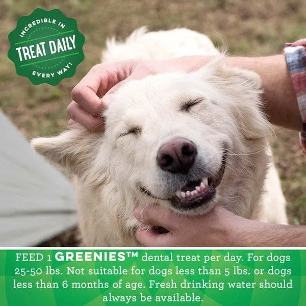 Greenies Fresh Regular Adult Dog Dental Treats, 12oz