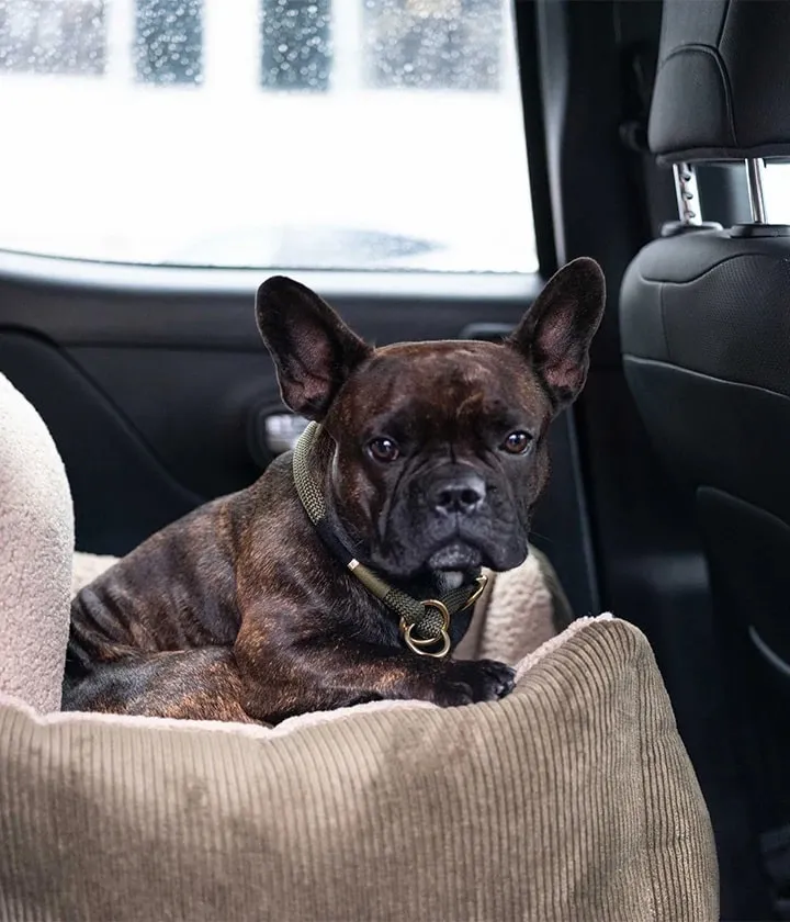 Harry Dog Car Seat - Khaki