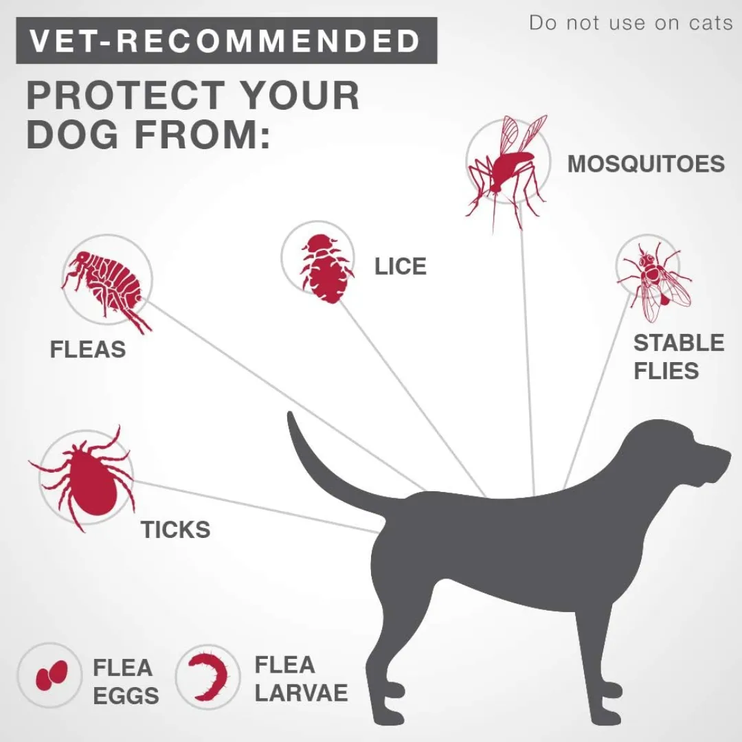 K9 Advantix II  Flea and Tick Treatment Dog X-Large