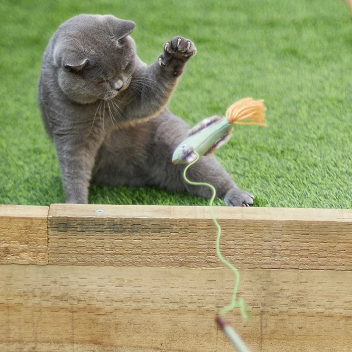 Kazoo Fantail Bird Eco-Friendly Wand Cat Toy^^^