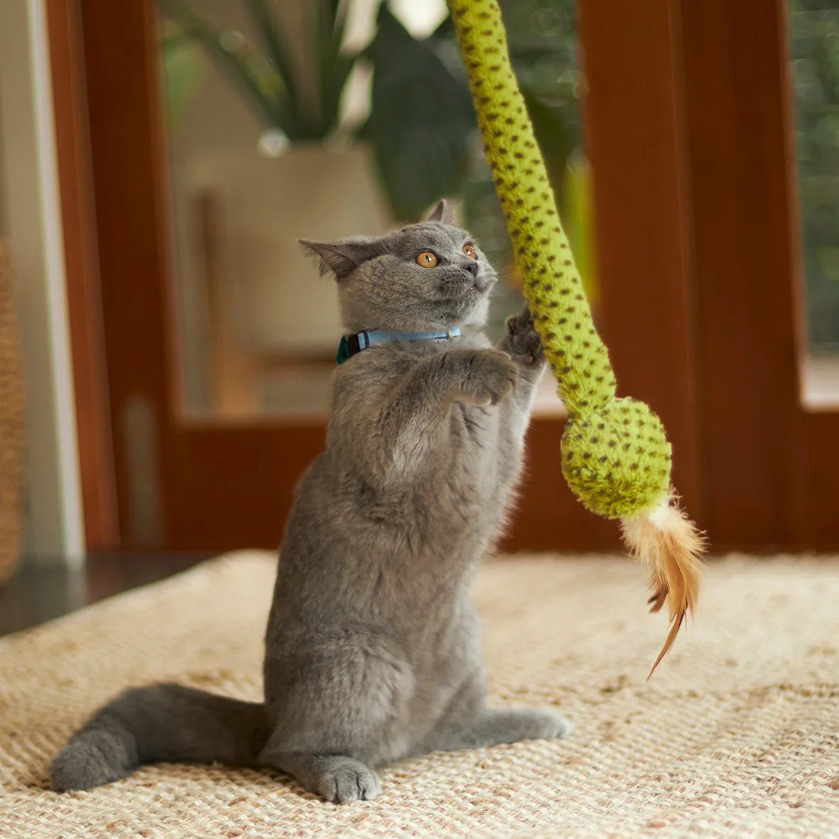 Kazoo Spotty Snake Play and Chase Wand Cat Toy