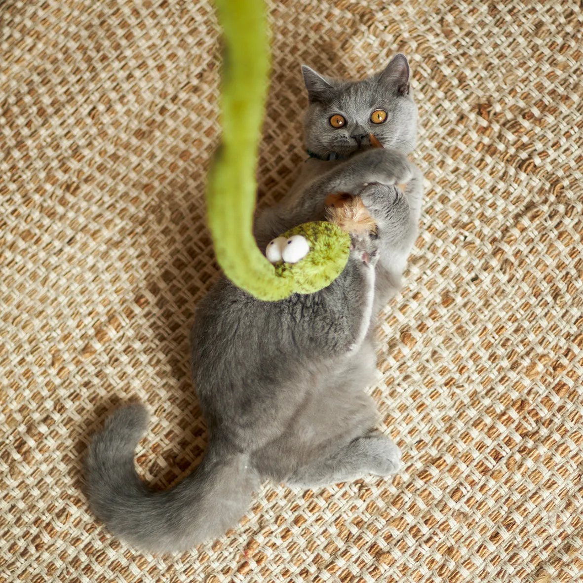 Kazoo Spotty Snake Play and Chase Wand Cat Toy
