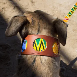 Kente Hound Collar