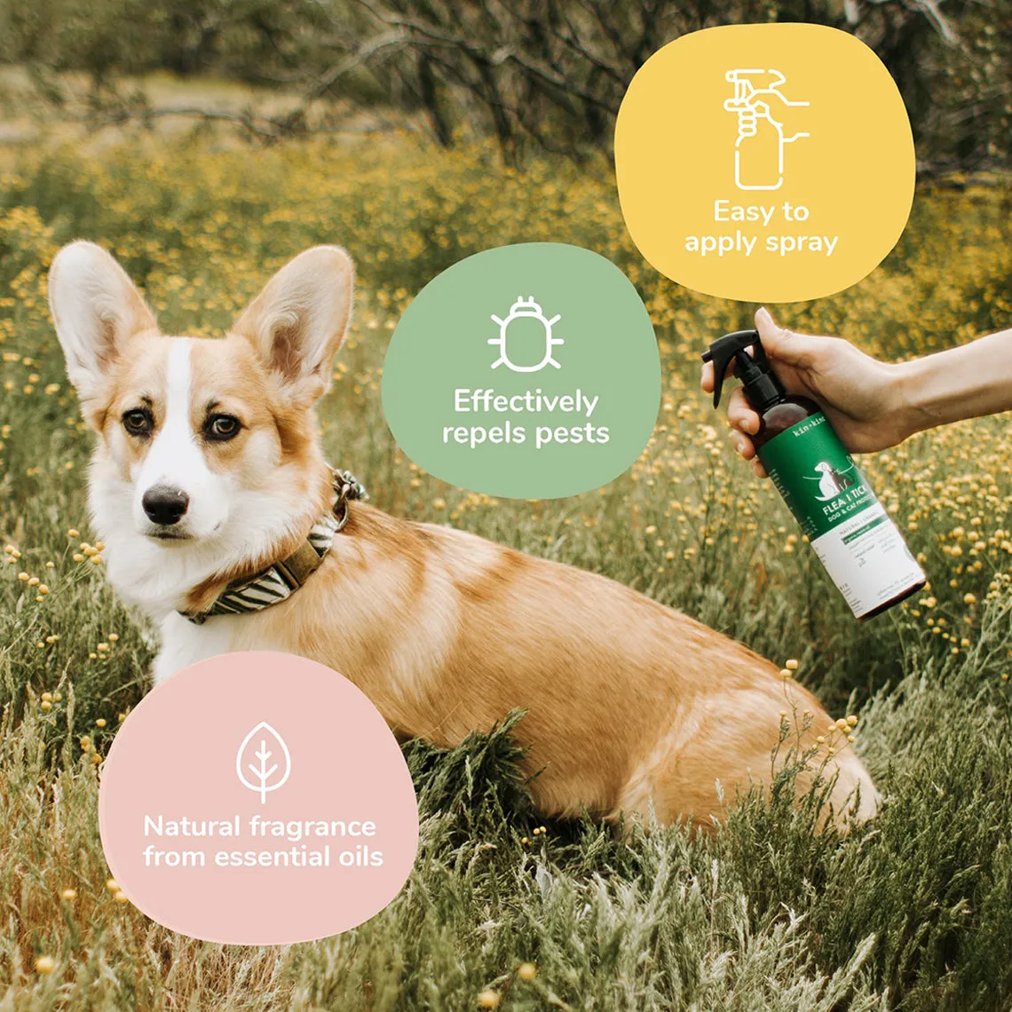 Kin   Kind Flea & Tick Protect Spray for Dogs & Cats