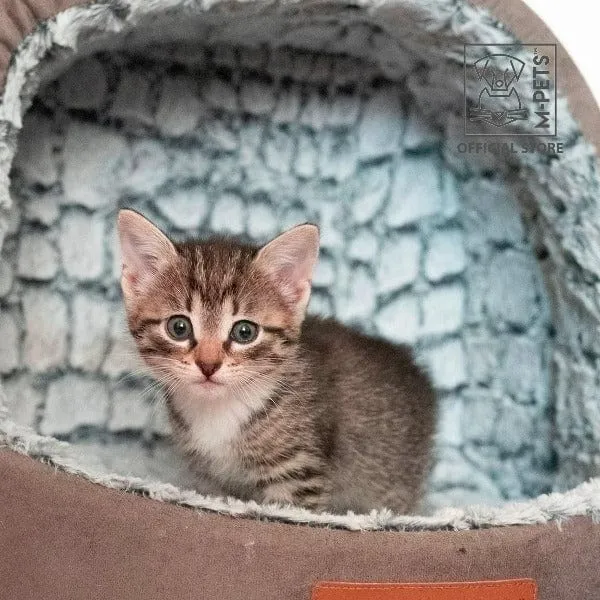 M-PETS Snake Suede Bed