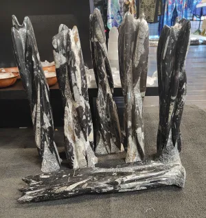 Orthoceras Towers (multi)