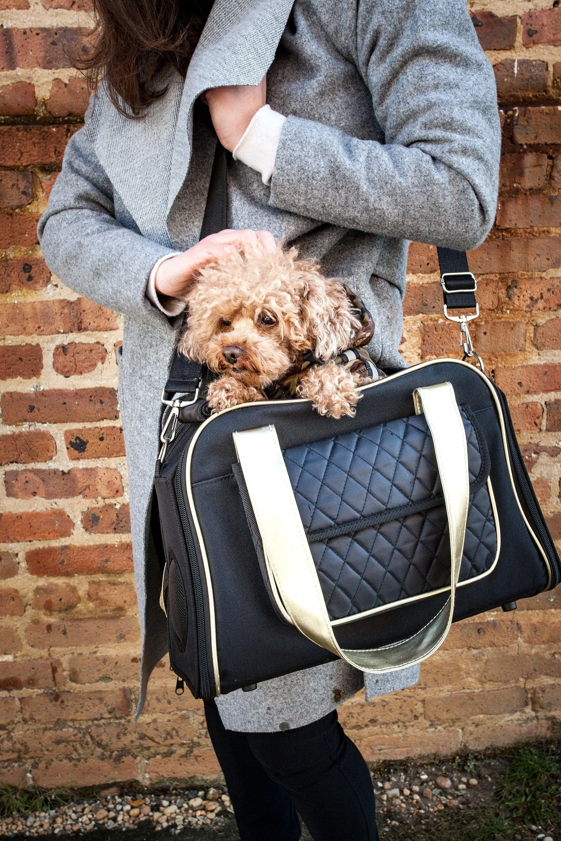 Pet Life ® Mystique Airline Approved Fashion Designer Travel Pet Dog Carrier w/ Pouch