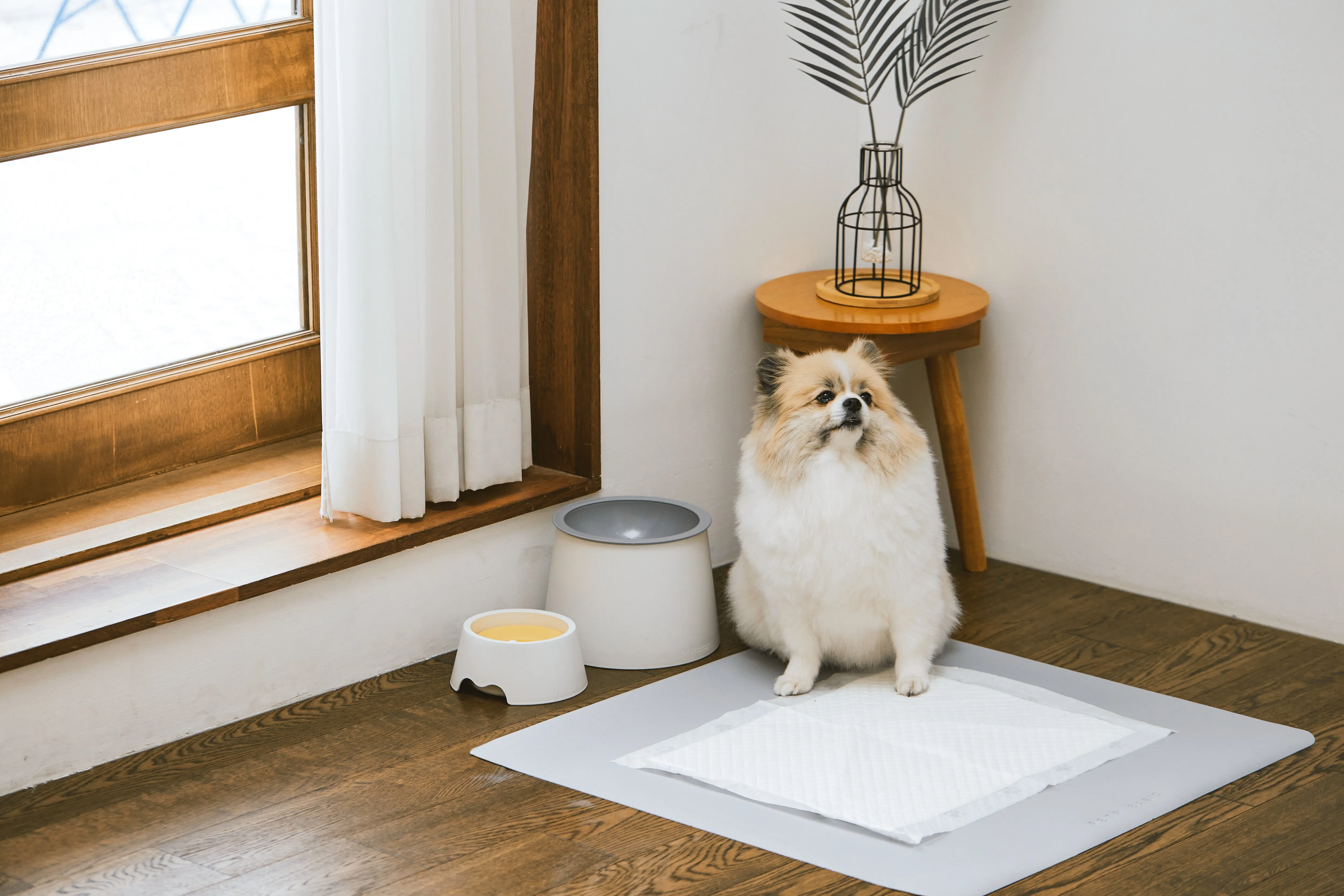 Pet.P Basic Mat