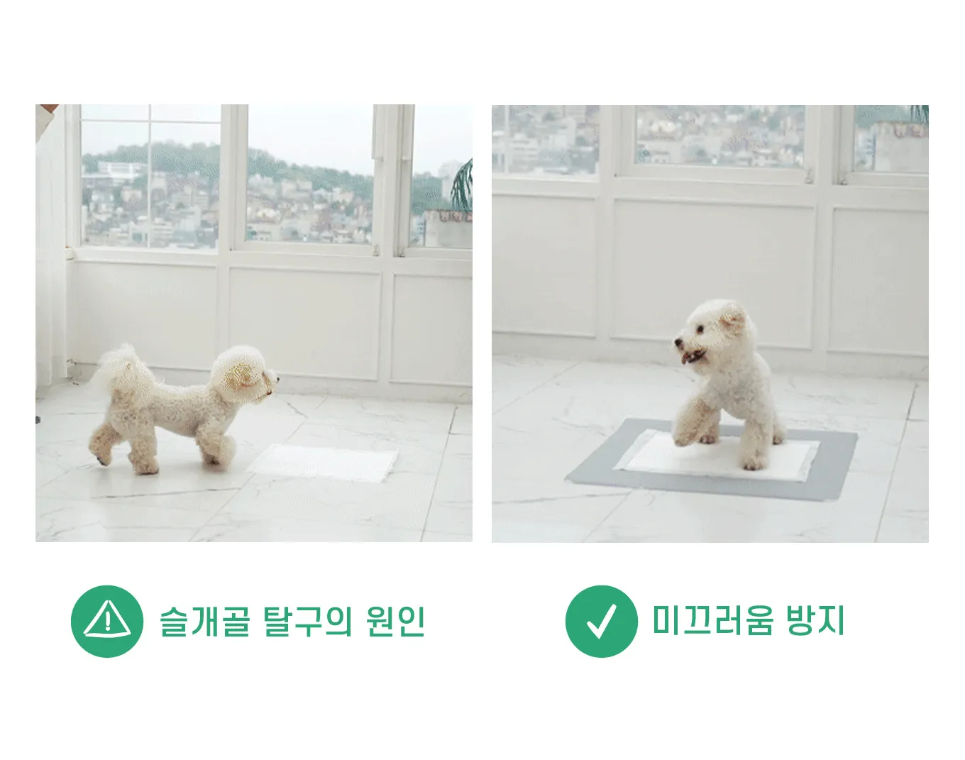 Pet.P Basic Mat