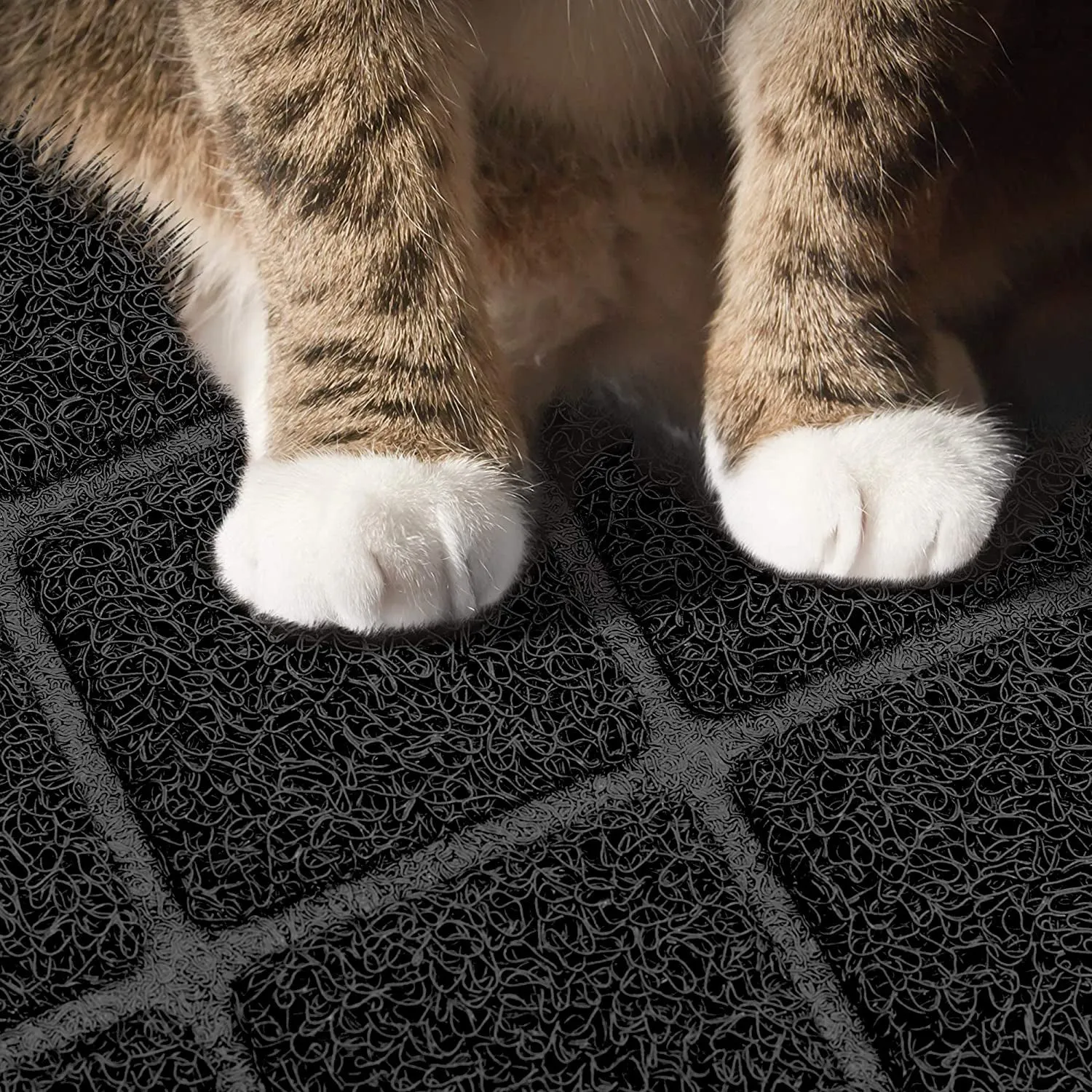 Premium Cat Litter Mat
