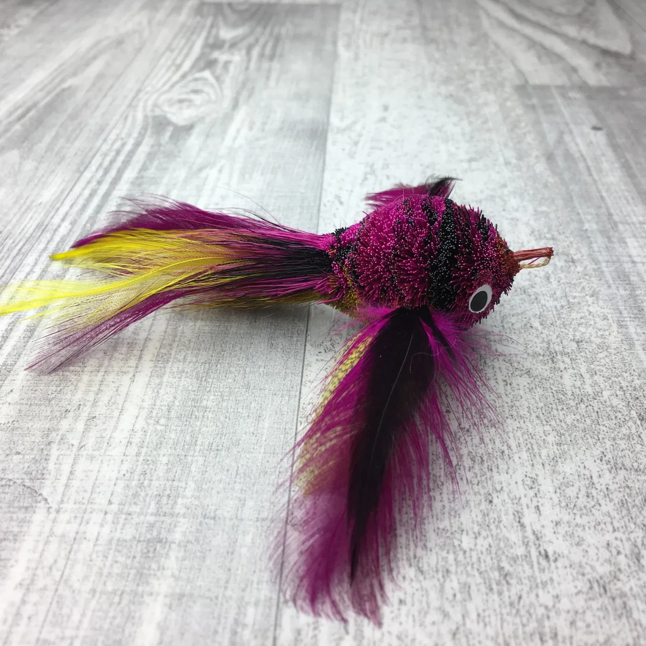 Pretty fly - Bird