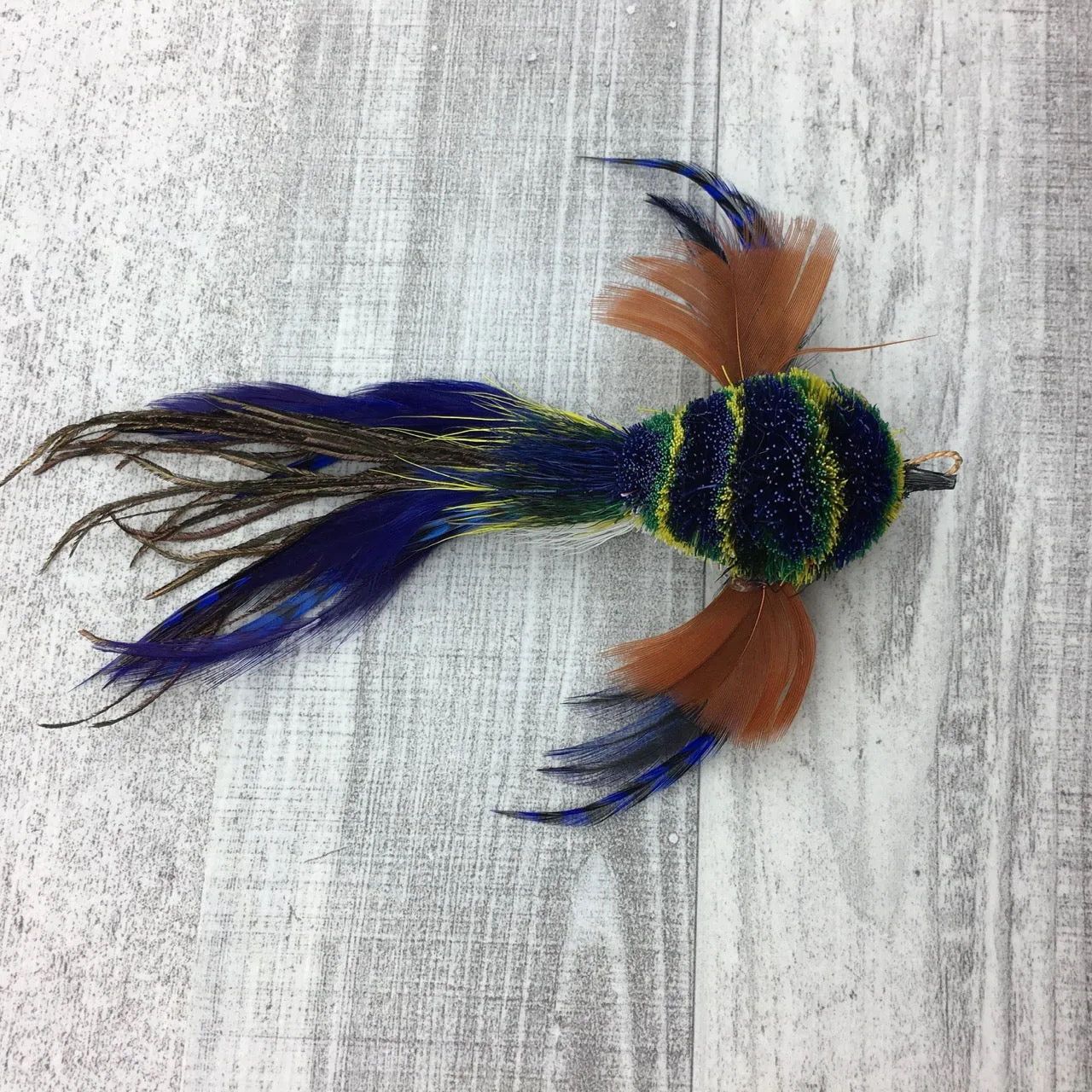 Pretty fly - Bird