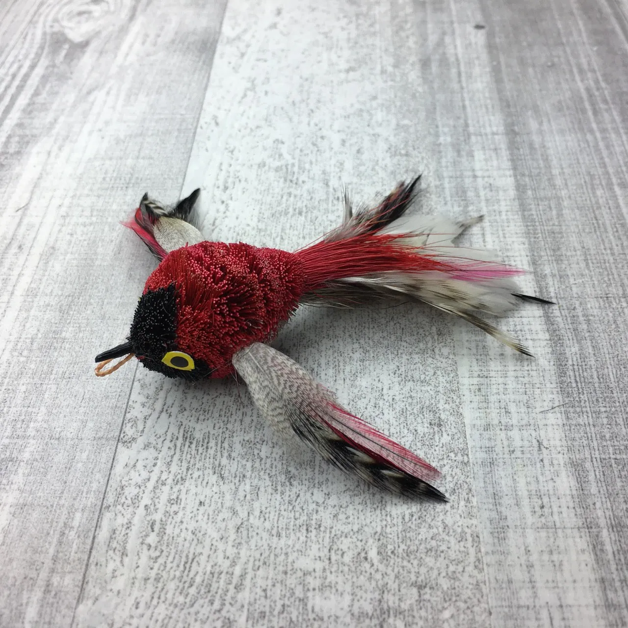 Pretty fly - Bird