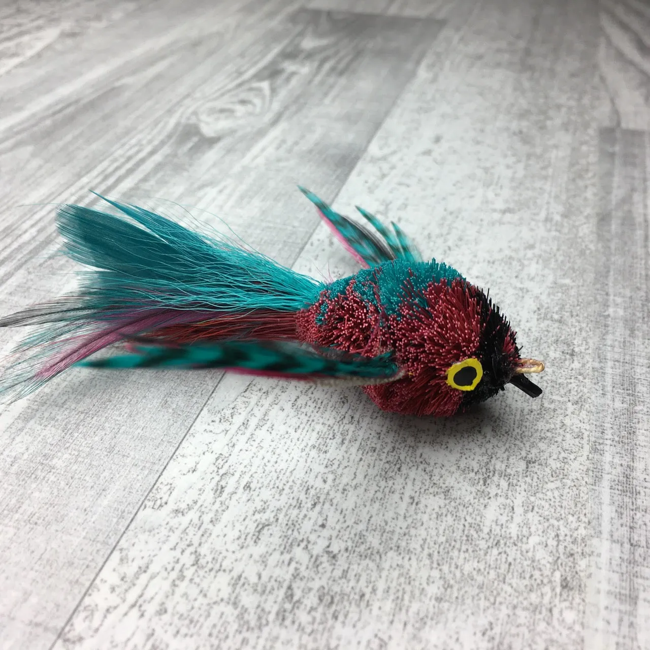 Pretty fly - Bird