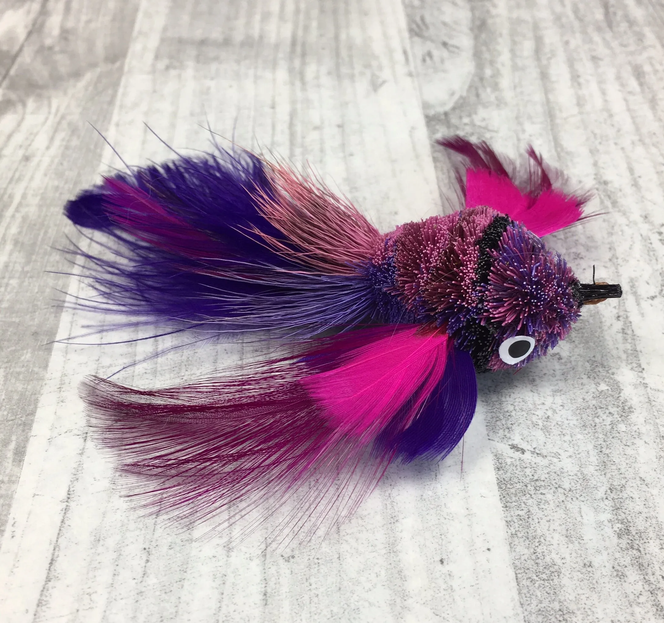 Pretty fly - Bird