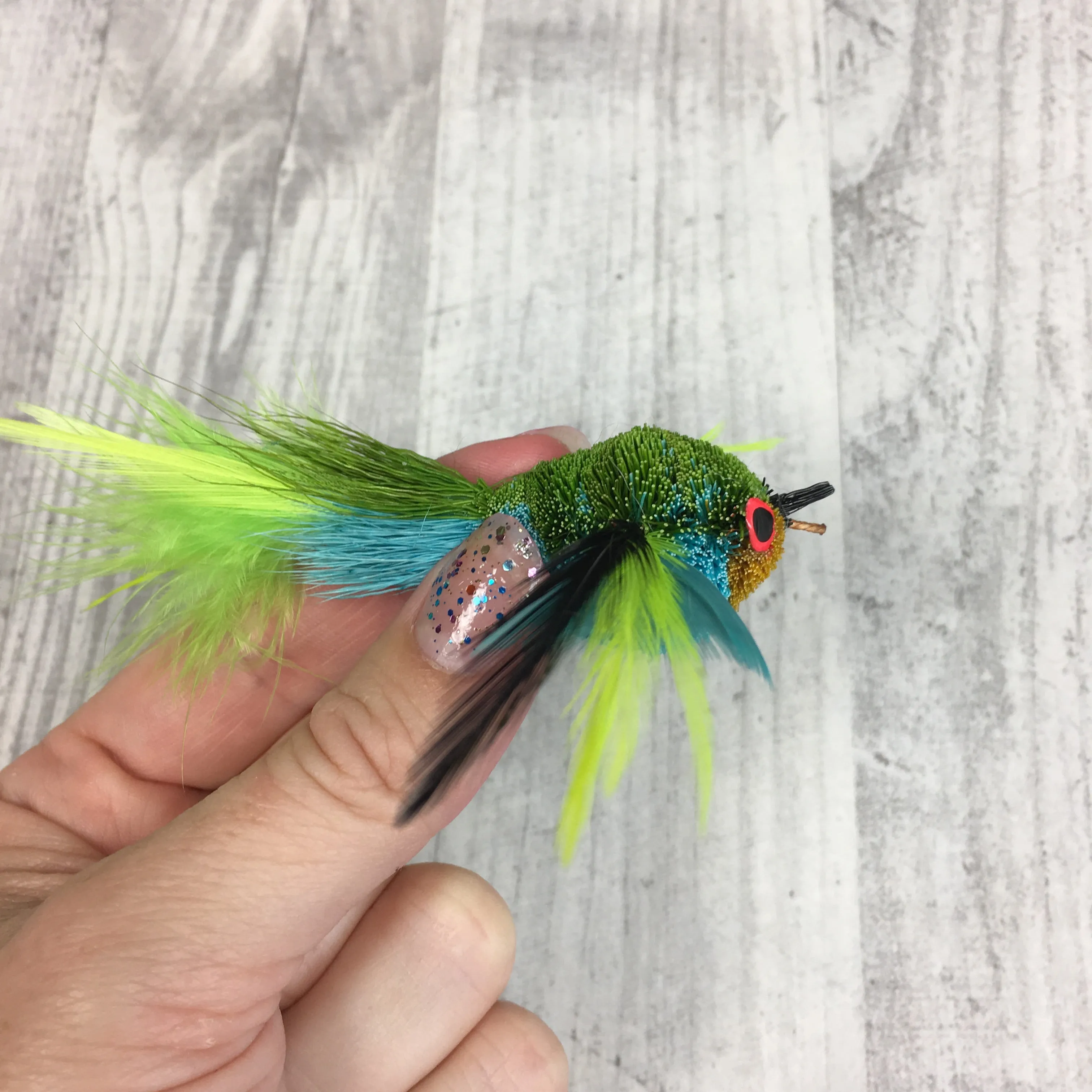Pretty fly - Bird