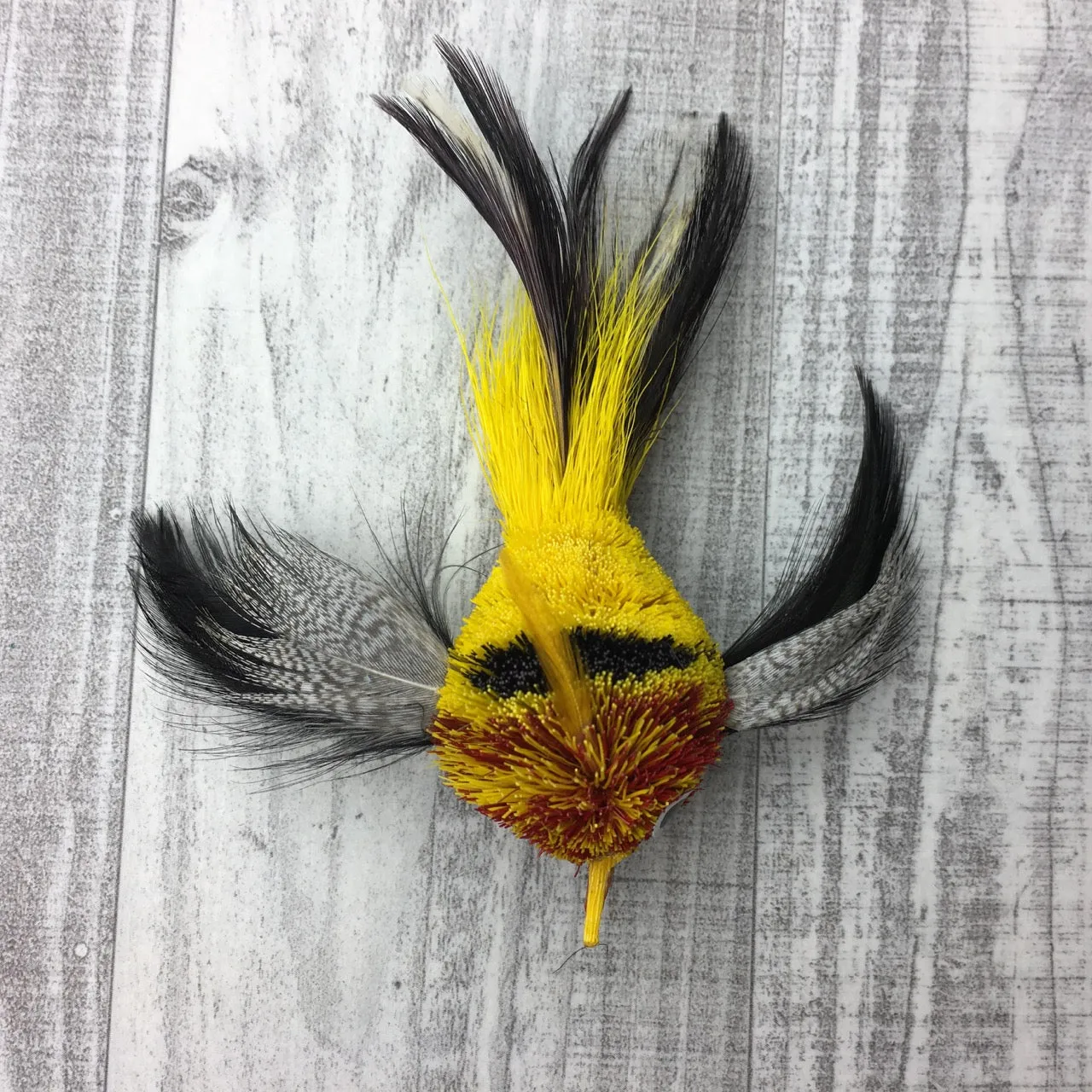 Pretty fly - Bird