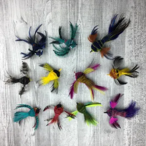 Pretty fly - Bird
