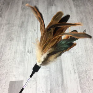 Rooster teaser