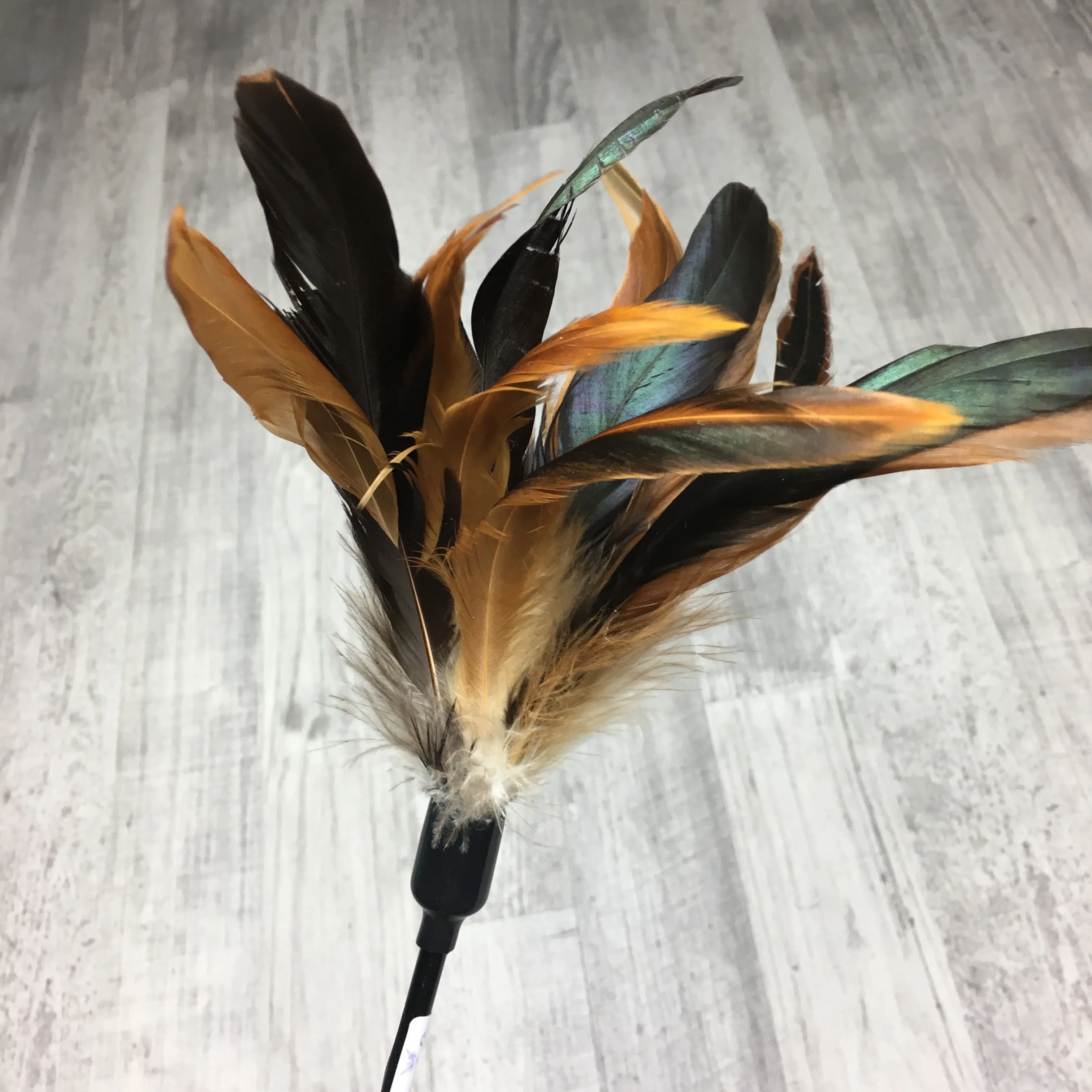 Rooster teaser