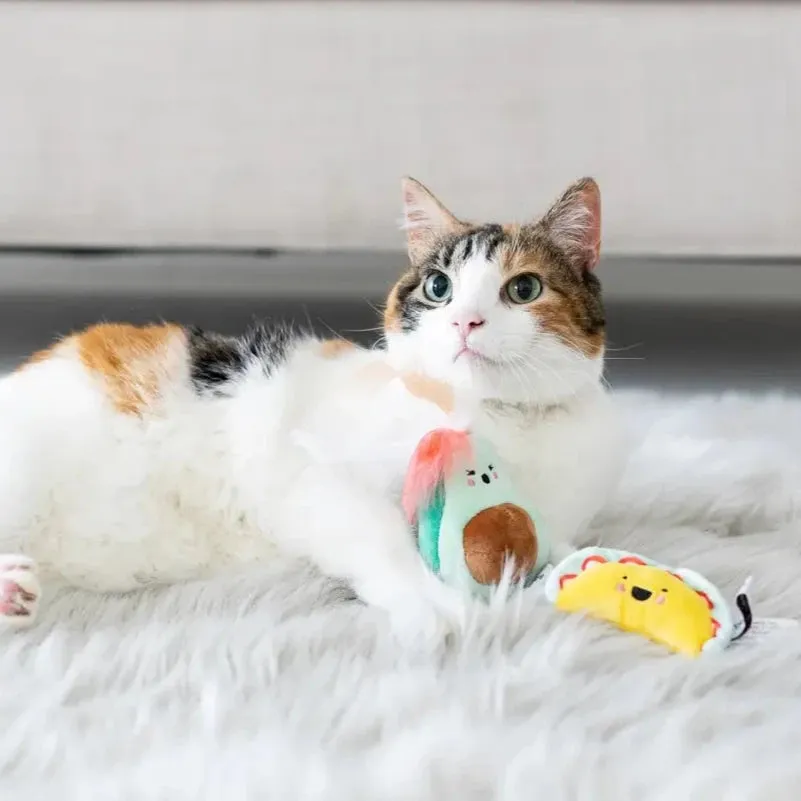 Taco Cat Toys