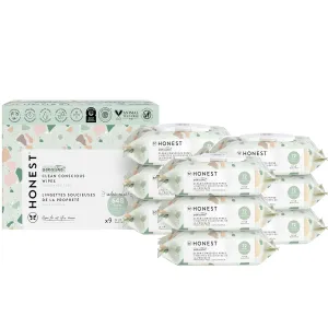 The Honest Company Wet Wipes - Hypoallergenic, Compostable, 99% Water, 648 Count