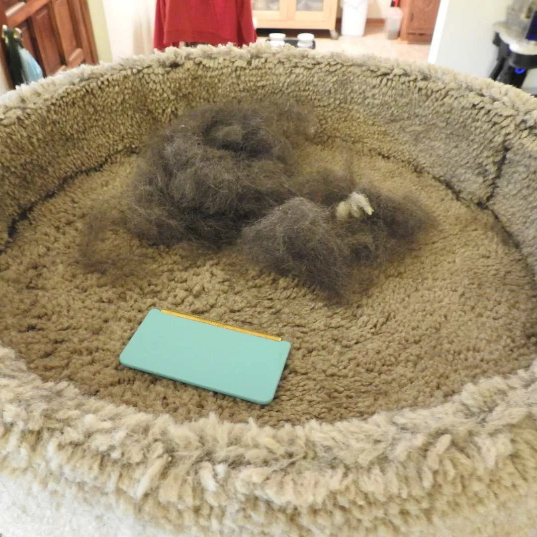 Uproot Pet Hair Survival Kits™