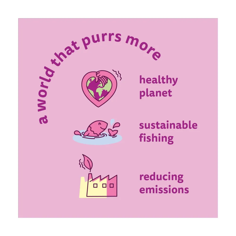 WHISKAS | Adult Wet Cat Food | Pouches Duo Surf & Turf In Jelly - 40 x 85g