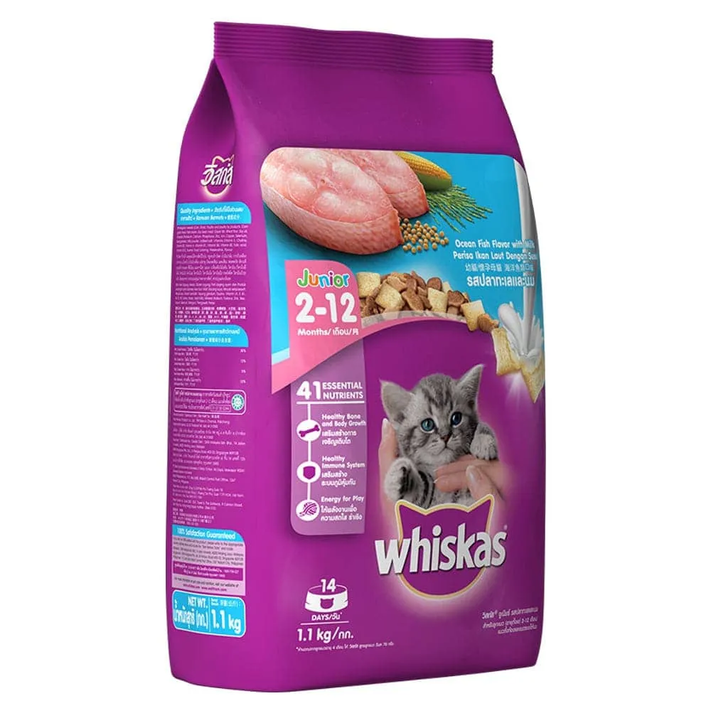 Whiskas Chicken in Gravy Meal Kitten Wet Food and Ocean Fish Kitten Dry Food Combo