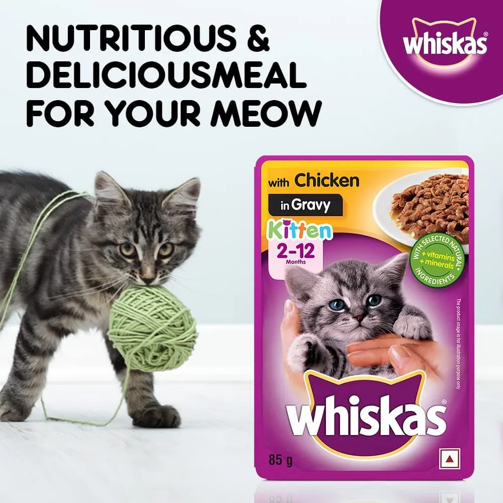 Whiskas Chicken in Gravy Meal Kitten Wet Food and Ocean Fish Kitten Dry Food Combo
