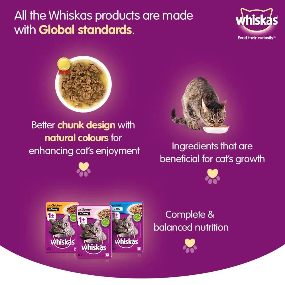 Whiskas Chicken in Gravy Meal Kitten Wet Food and Ocean Fish Kitten Dry Food Combo