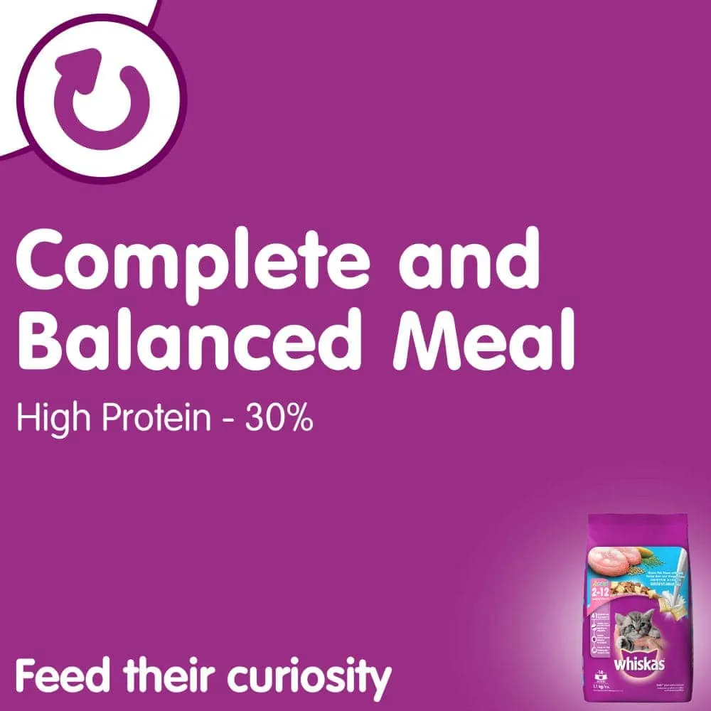 Whiskas Chicken in Gravy Meal Kitten Wet Food and Ocean Fish Kitten Dry Food Combo